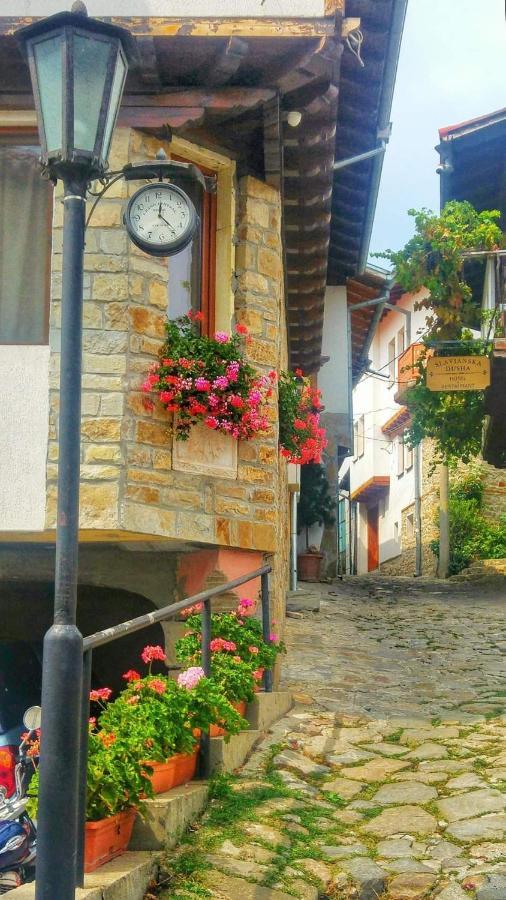 Family Hotel "Slavianska Dusha" Veliko Tarnovo Exteriér fotografie